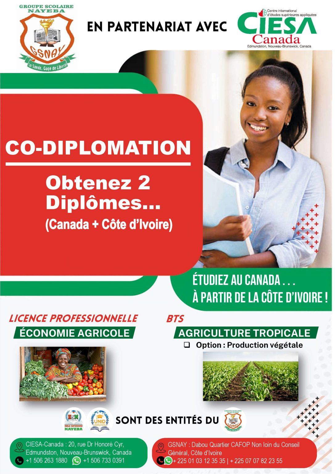 Affiche Co-Diplomation